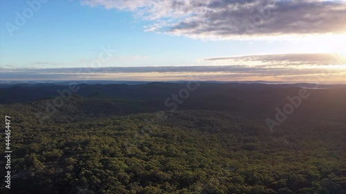 Aerial: Flying over thick forest and bushland during sunrise in Sydney, Australia
