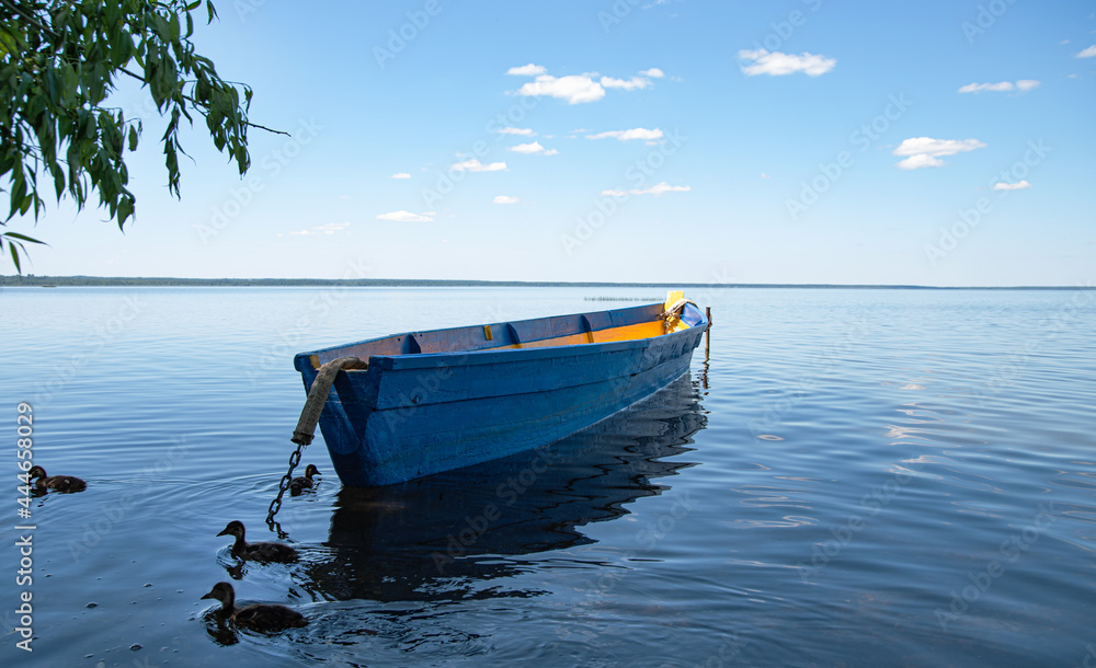 landscape of a blue wooden boat with ducks on Lake Pleshcheyevo. A sunny summer day in nature. landscape of a blue wooden boat with ducks on Lake Pleshcheyevo. A sunny summer day in nature.