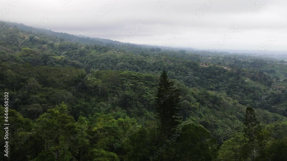 A View Of Tropical Thicket Jungle From The Abandoned Palace Hotel In Bedugul, Bali Island, Indonesia. - Aerial Shot A View Of Tropical Thicket Jungle From The Abandoned Palace Hotel In Bedugul, Bali Island, Indonesia. - Aerial Shot