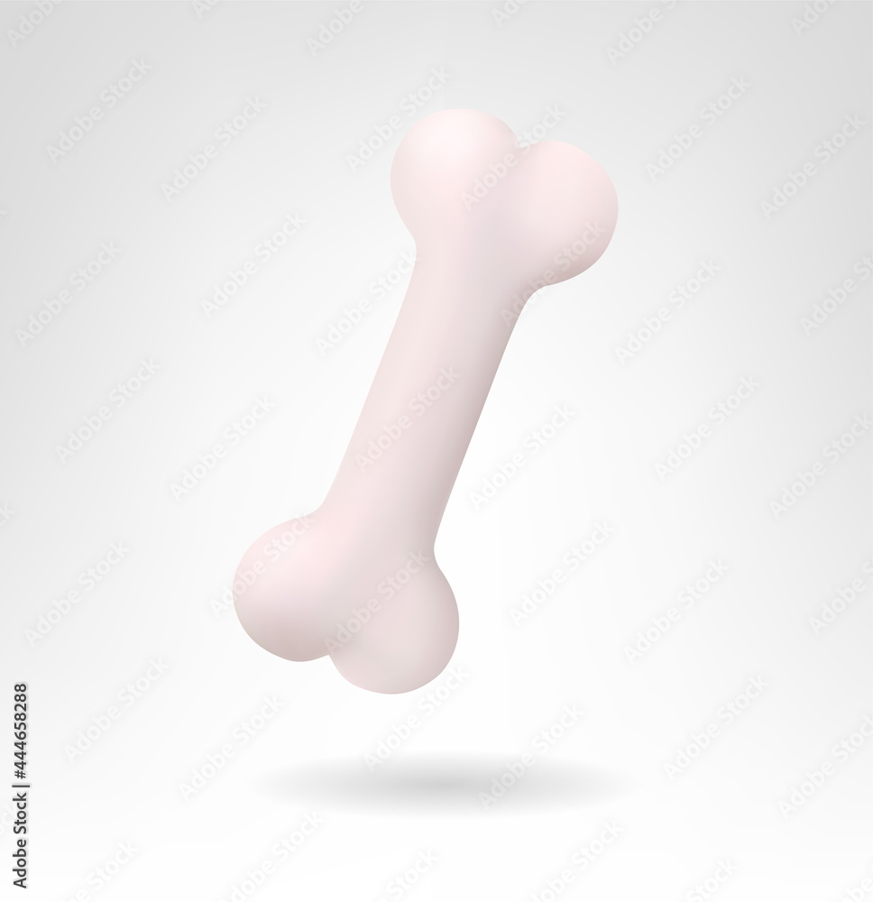 Fototapeta premium Dogs Bone