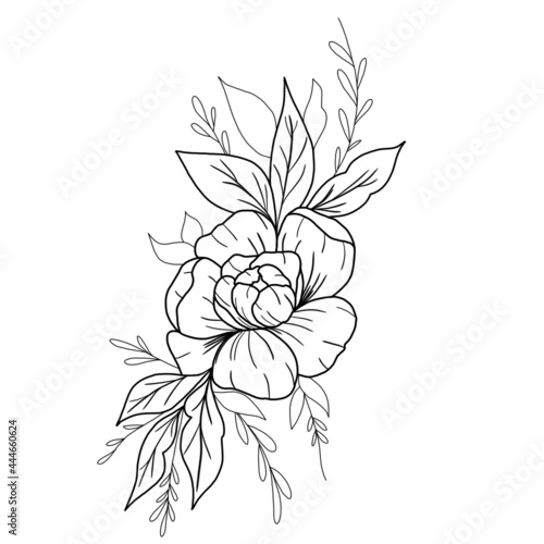 Flower linen on white background flor lineal  Illustrator