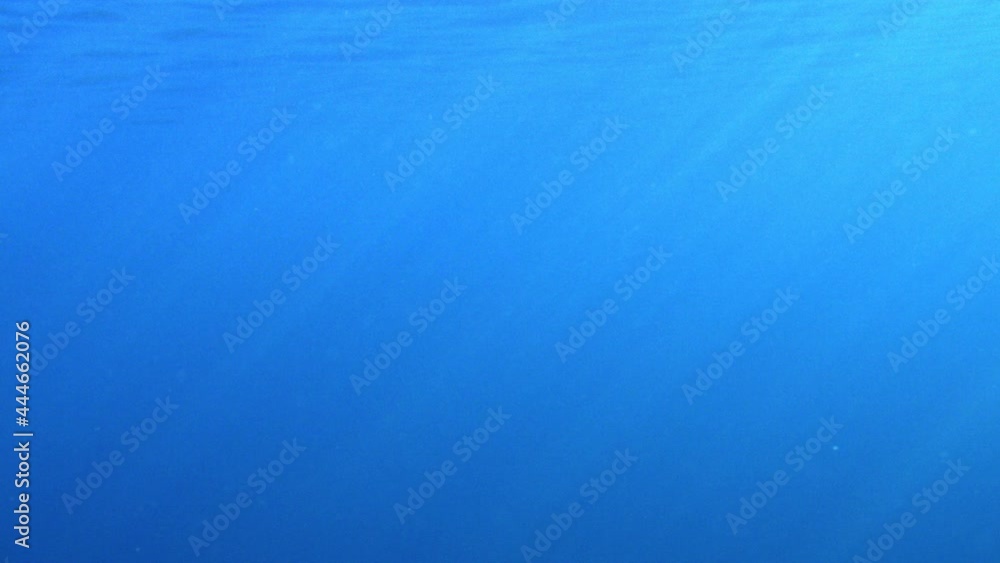 Sun penetrating ocean surface. Underwater god rays vfx background element. Sun penetrating ocean surface. Underwater god rays vfx background element.