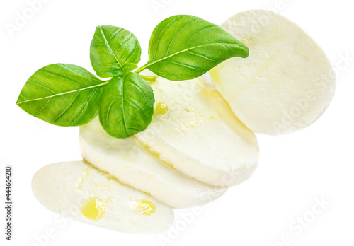 Mozzarella cheese with basil leaves  isolated on white background. Slices of Mozzarella .