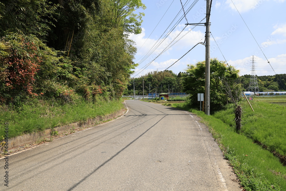田舎道 田舎道