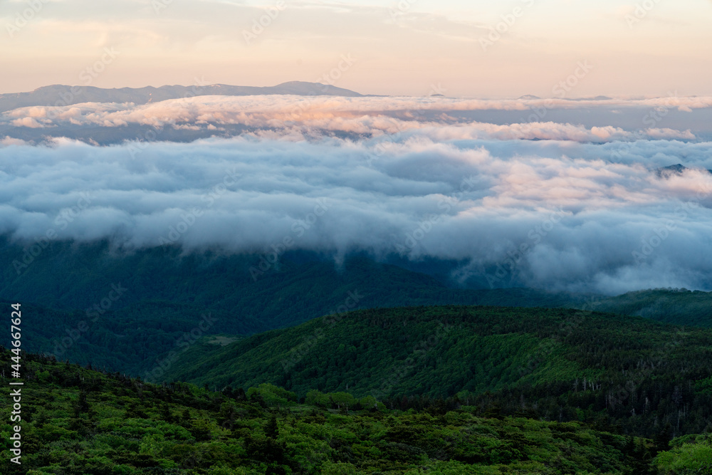 Obraz premium 雲の上 雲 雲海 壮大 笠雲 雲上 高山 標高