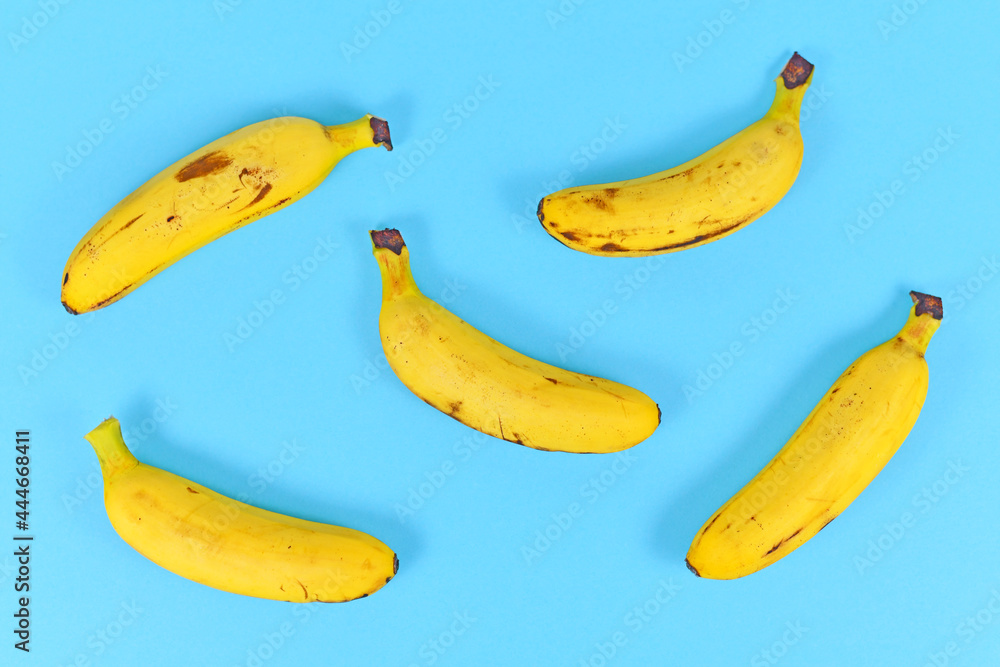 Bunch of small snack bananas on brigh blue background