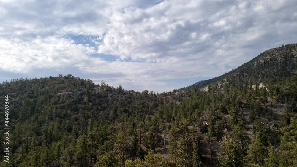 Mountain Top and forest panorama at Mount Charleston Nevada Mountain Top and forest panorama at Mount Charleston Nevada