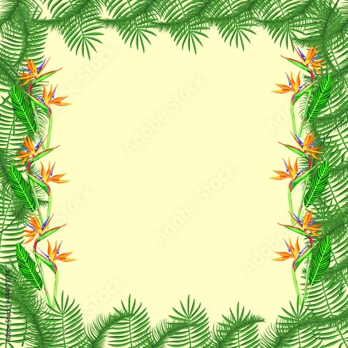 Frame border. Texture with greenery  branch  leaves  tropical leaves. Perfect for weddings  invitations  greeting cards  quotes.