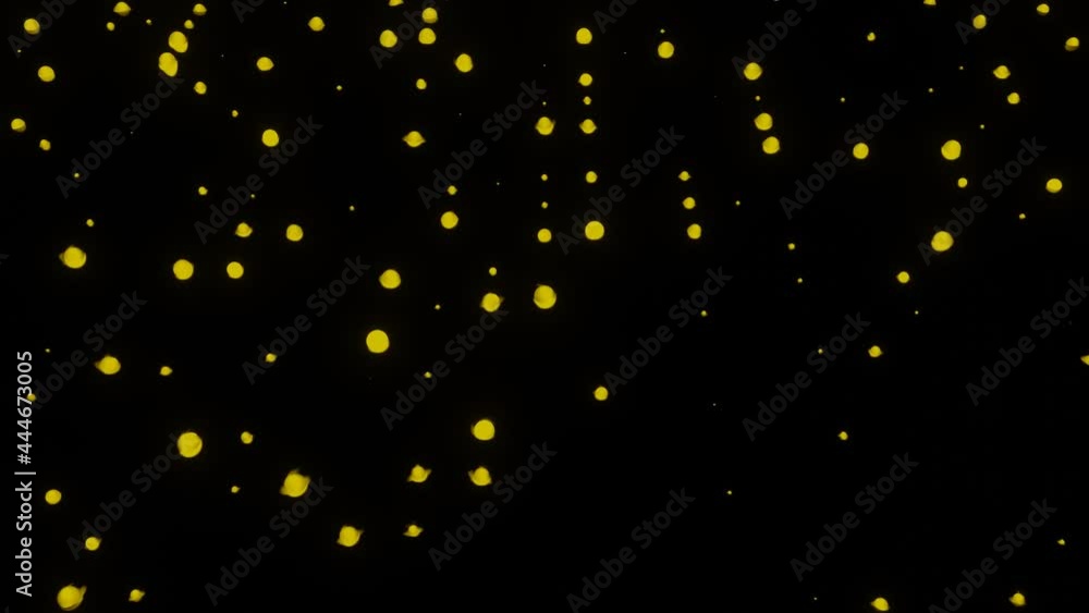 On a wavy black surface, there are yellow round lights. A liquid backdrop was created using a creative motion graphic concept On a wavy black surface, there are yellow round lights. A liquid backdrop was created using a creative motion graphic concept