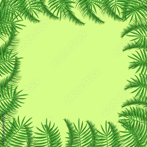 Vector illustration. Green plants, exotic leaves, botany, flora. Tropical frame, place for text. Yellow-green background isolated. Wedding invitation or postcard design 