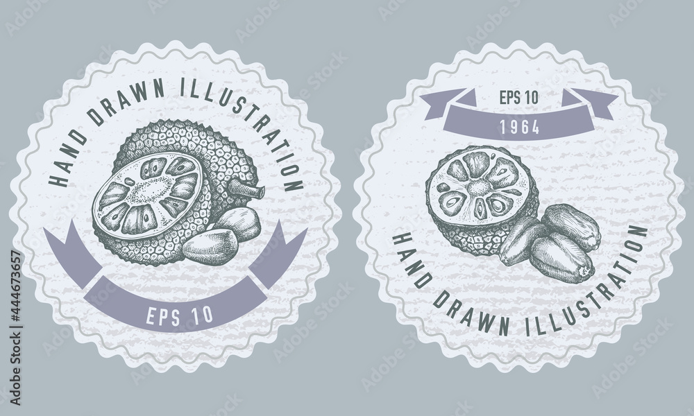 Monochrome labels design with illustration of jackfruit Monochrome labels design with illustration of jackfruit