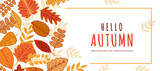 Autumn background with decorative leaves. Leaf fall frame. Hand-drawing.Vector illustration for poster, banner, flyer, invitation, website or postcard