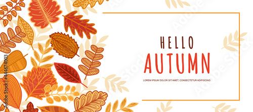 Autumn background with decorative leaves. Leaf fall frame. Hand-drawing.Vector illustration for poster, banner, flyer, invitation, website or postcard