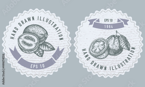 Monochrome labels design with illustration of guava