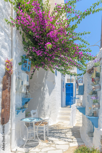 Traditional cycladitic   alley with narrow street, whitewashed  houses and a blooming bougainvillea, in ano Syros Greece photo