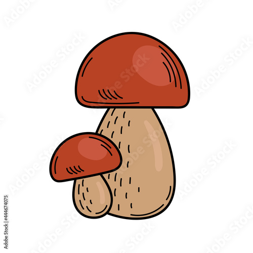 Cute edible mushroom in doodle style. Ingredients for cooking, salads. Autumn plant harvesting. Vector hand illustration