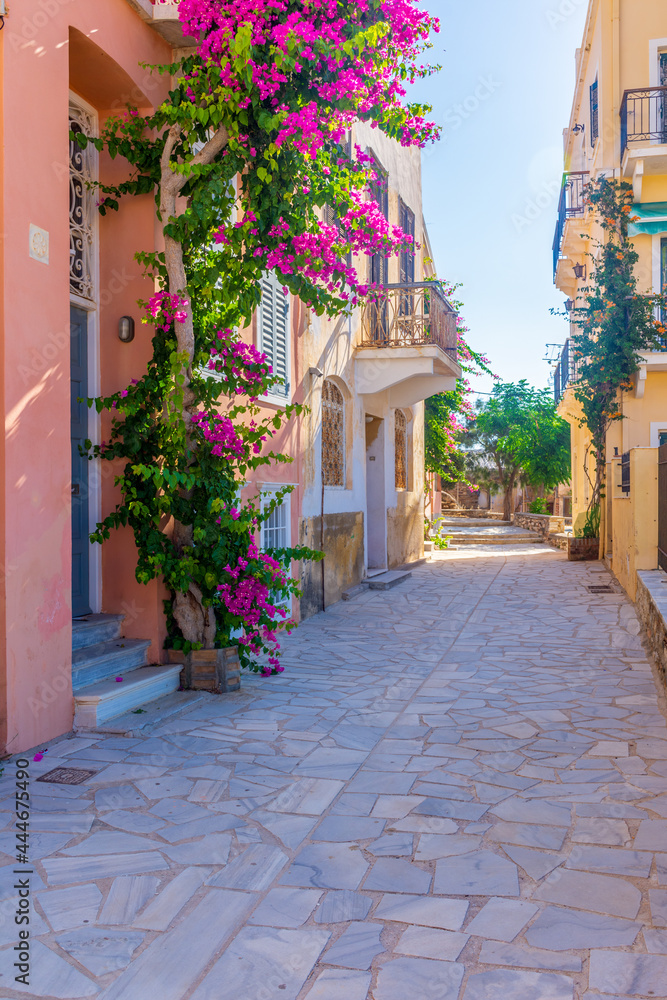 Fototapeta premium Street view of traditional houses and a colorful bougainvillea tree in Ermoupolis, Syros island, Greece