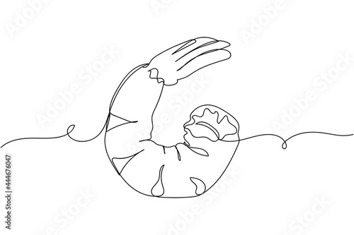 Continuous one line of cooked shrimps in silhouette on a white background. Linear stylized.Minimalist.