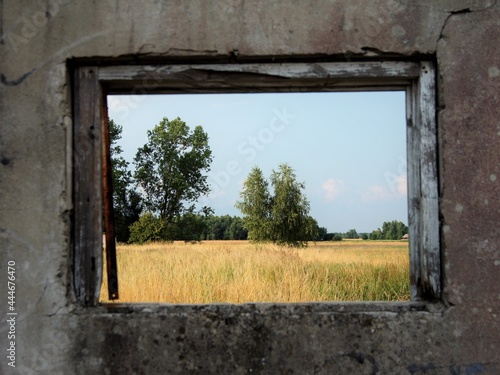 widok window © Mathew