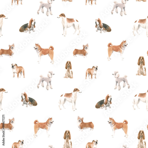 Beautiful vector seamless pattern with cute watercolor hand drawn dog breeds Cocker spaniel Greyhound Basset hound Poodle Bulldog and Welsh corgi pembroke . Stock illustration.