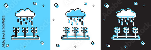 Set Plant sprouts grow in the rain icon isolated on blue and white, black background. Seedling concept. Vector