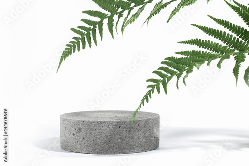 Cylindrical stone concrete eco podium on white background with hard shadows and tropical fern leaves. Minimal empty cosmetic product presentation scene. Geometric podium.