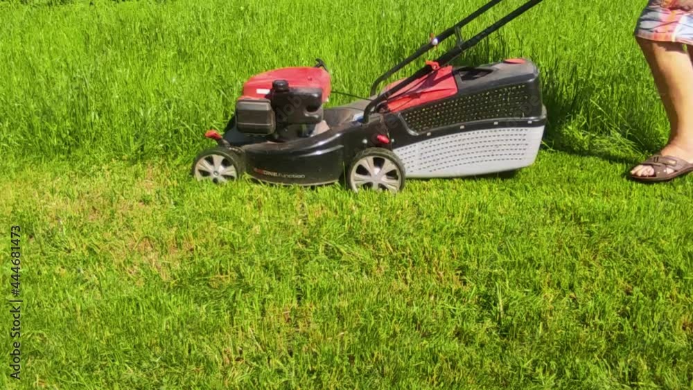 Cutting the grass of a fresh green lawn in the garden with a lawn mower in clear weather. 4k ultra HD Cutting the grass of a fresh green lawn in the garden with a lawn mower in clear weather. 4k ultra HD