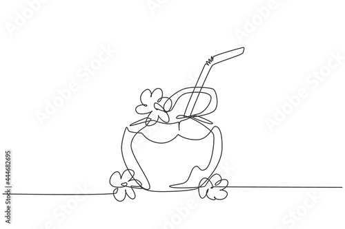 Continuous one line drawing green coconuts with drinking straw and flower. Relieves thirst and dehydration in summer. Healthy lifestyle concept. Single line draw design vector graphic illustration