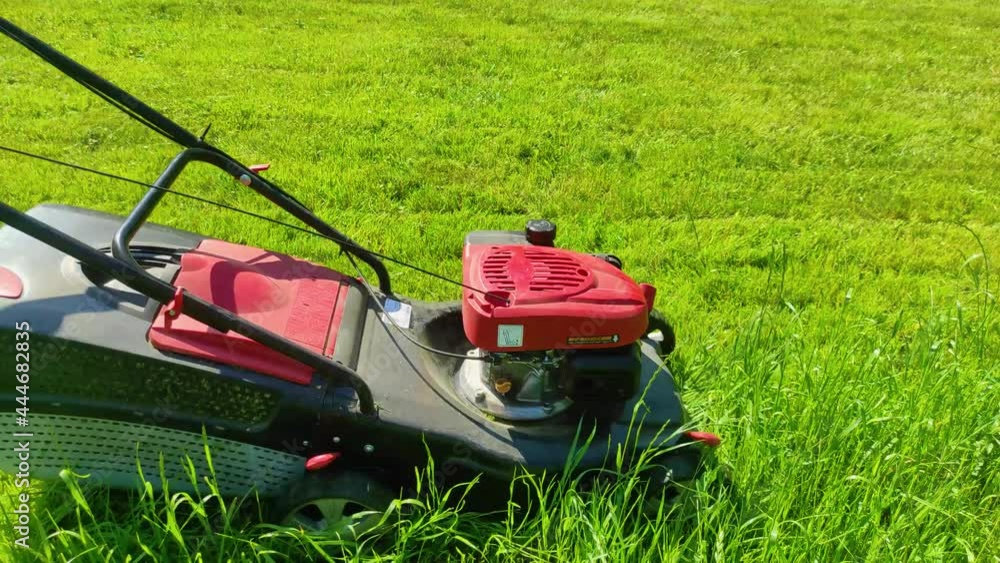 Cutting the grass of a fresh green lawn in the garden with a lawn mower in clear weather. 4k ultra HD Cutting the grass of a fresh green lawn in the garden with a lawn mower in clear weather. 4k ultra HD