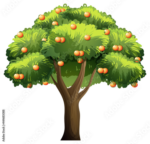Orange fruit tree in cartoon style isolated on white background