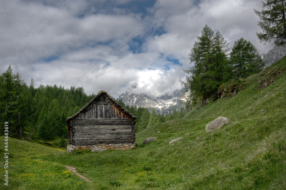 Traditional Italian alpine barn near Crampiolo in the Italian alps, built of wood and natural stone, in the background forest and snow covered mountain Traditional Italian alpine barn near Crampiolo in the Italian alps, built of wood and natural stone, in the background forest and snow covered mountain