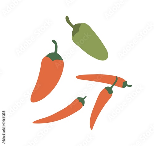 Red and green Mexican jalapeno and hot chili peppers. Whole hot spicy vegetables. Chilli veggies composition. Flat vector illustration of natural organic spice isolated on white background