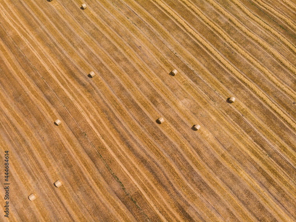 Aerial view of harvested wheat field. Haystacks lay upon the agricultural field. Aerial view of harvested wheat field. Haystacks lay upon the agricultural field.