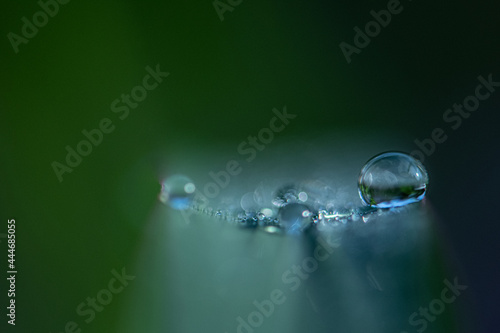 Regentropfen auf grünem Blatt, close up, grün/blau Touch