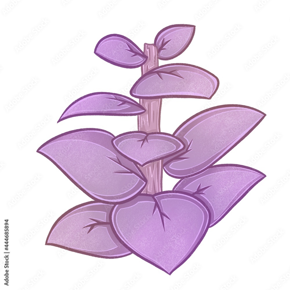 Fototapeta premium Hand drawn illustration of succulent plant