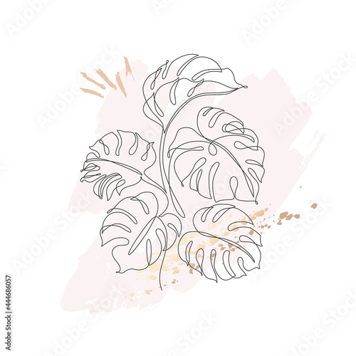 Tropical monstera leaves bush silhouette in line art on pastel pink stain and golden brush strokes background.