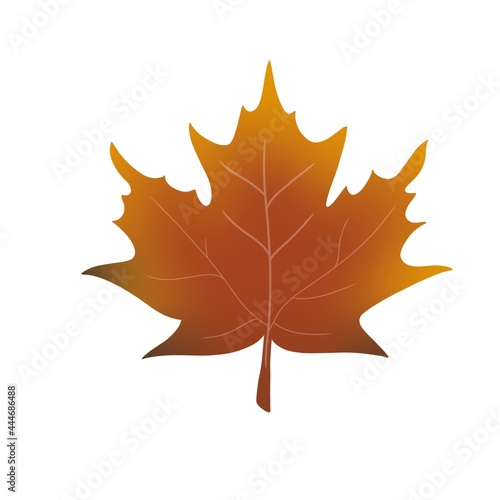 Maple withering autumn leaf hand-drawn digital illustration