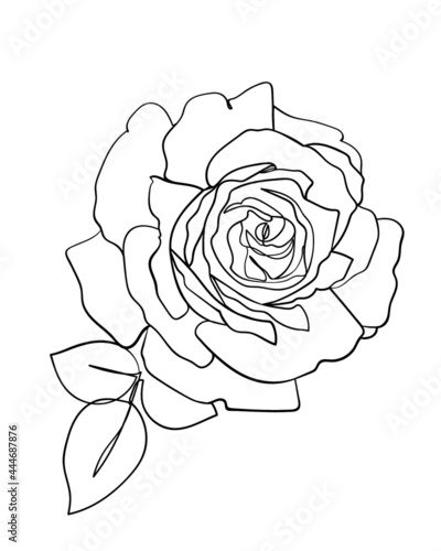 Rose flower icon. Line drawing. - Vector illustration