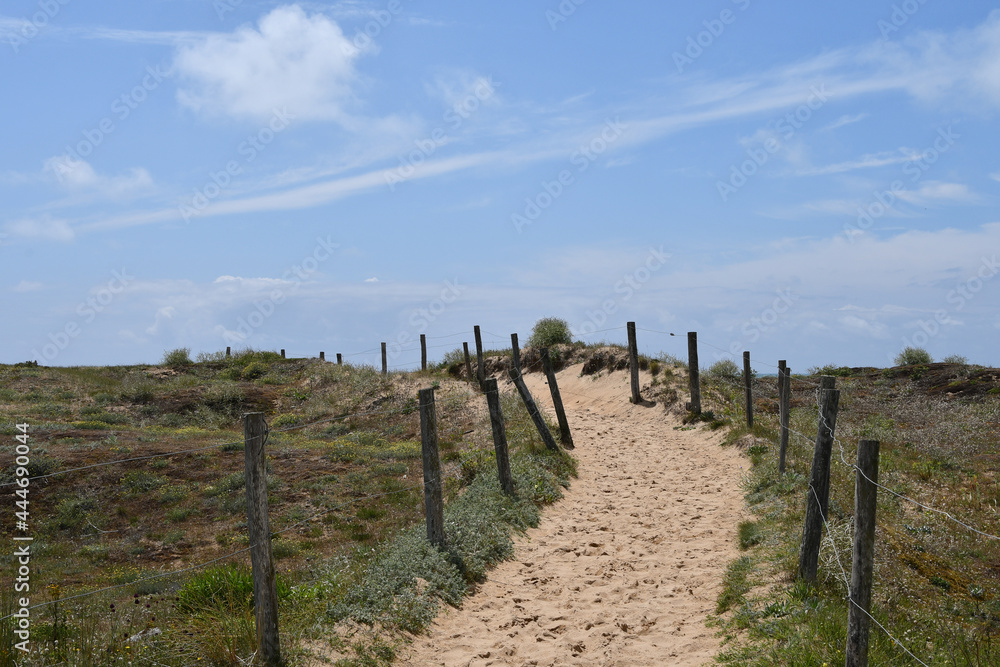 Chemin d'accès à la plage au milieu des dunes