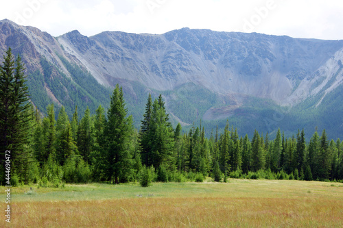 High mountains and glade with wood year daytime