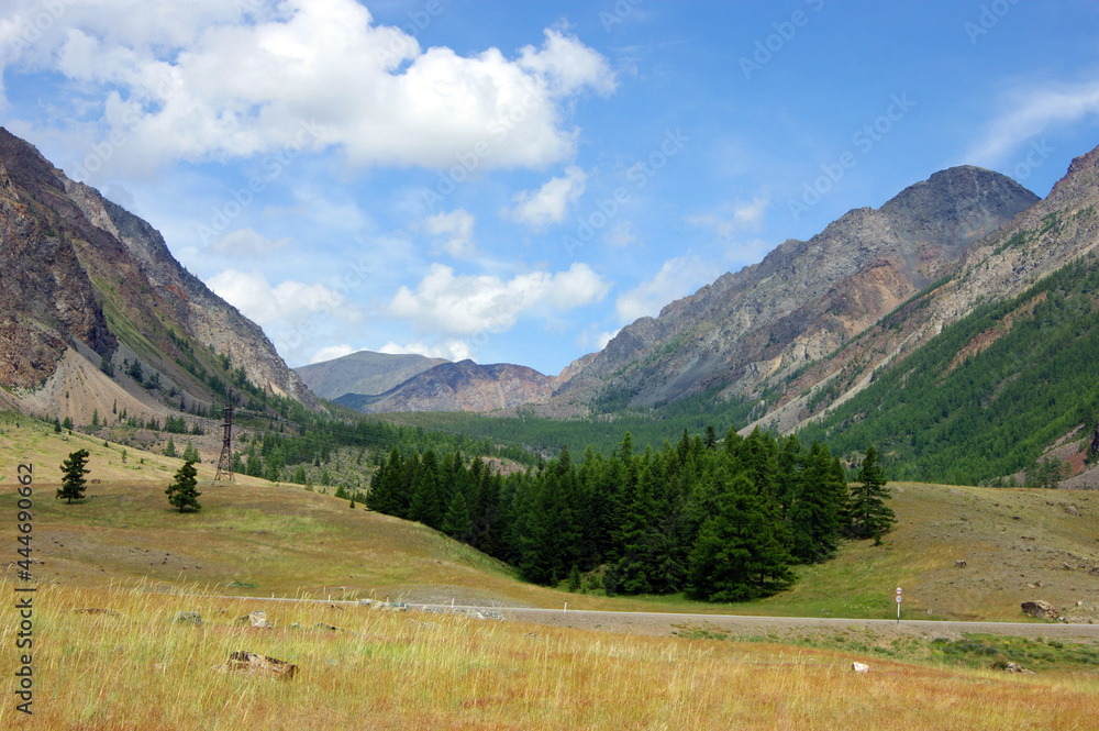 Colorful year landscape with mountain and wood