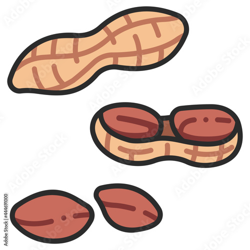 peanut icon
