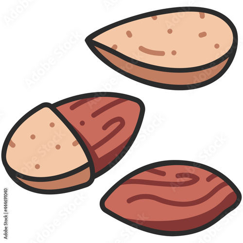 almond icon