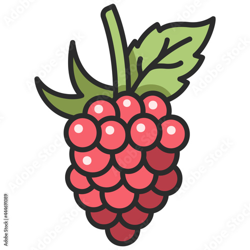 raspberry icon