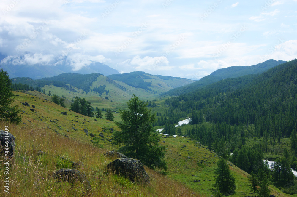 Mountain Altai summer valley in mountain with wood