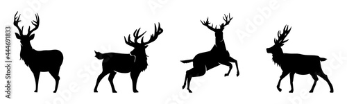 Obraz na płótnie deer silhouette collection