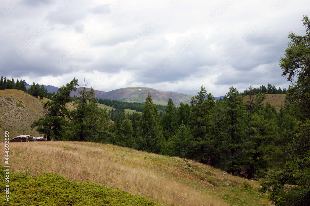 Valley in mountain altai year daytime landscape