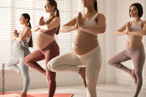 Fototapeta Naklejka Na Ścianę i Meble -  Group of pregnant women practicing yoga in gym, closeup