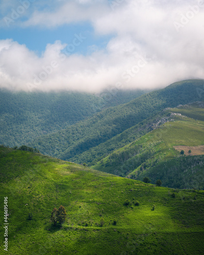 Summer morning with green meadows and clearings and clouds in the mountains