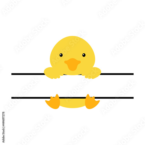 Cute duck split monogram. Funny cartoon character for shirt, scrapbooking, print, greeting cards, baby shower, invitation, home decor. Bright colored childish stock vector illustration.